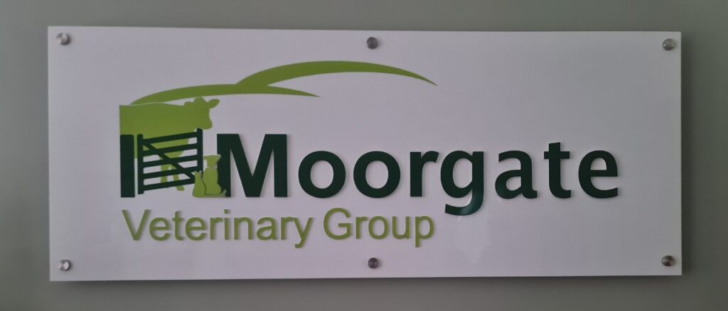 Our Team - Moorgate Veterinary Group