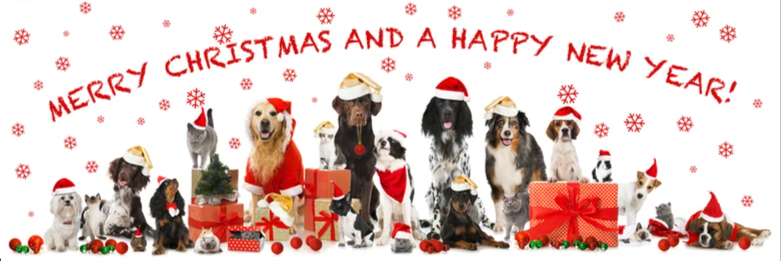 Screenshot 2025-12-10 140636