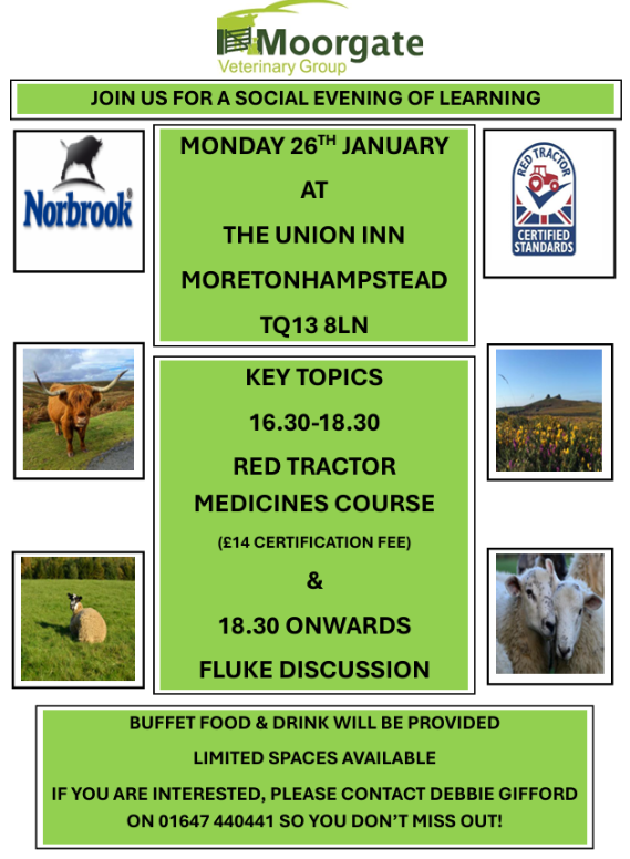 Screenshot 2026-01-08 144405