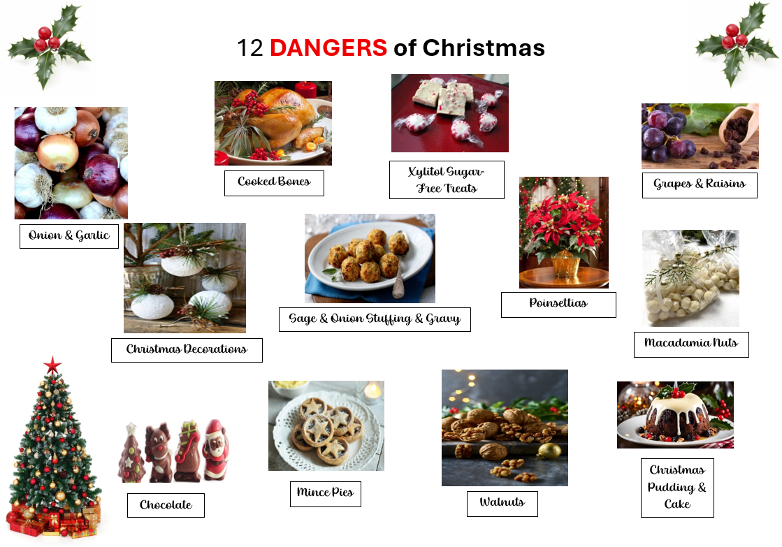 Screenshot 2025-12-10 135815