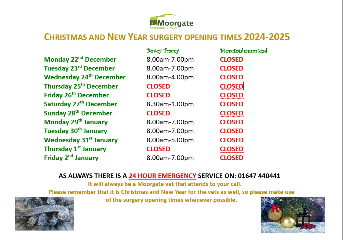 Screenshot 2025-12-11 154149